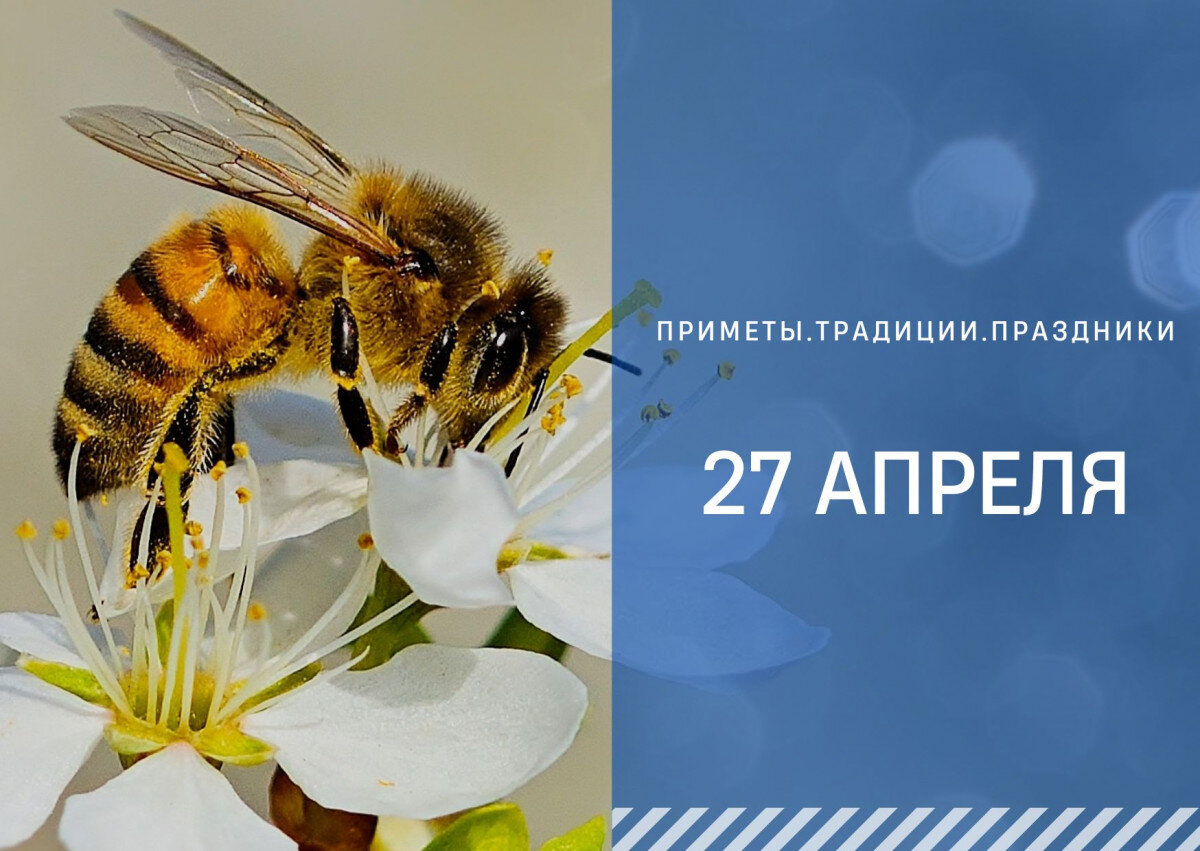 Приметы на 27 мая 2024 года. Приметы на 27 мая 2024 года