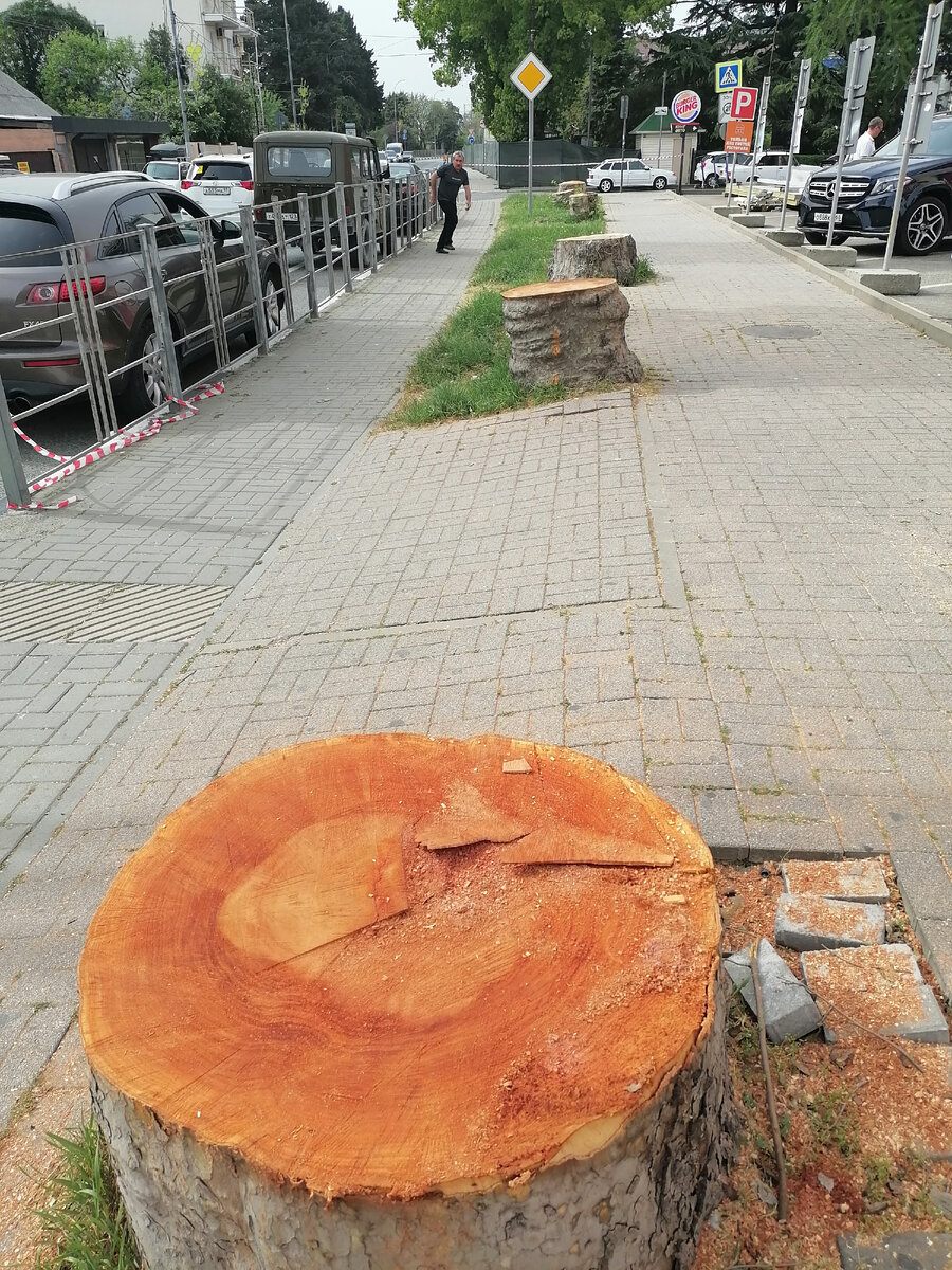 Спил сочи