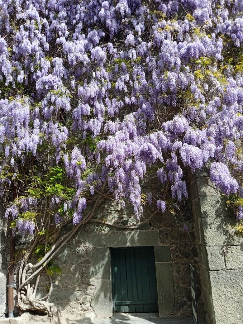 Какая красота на стенах дворца. Не правда ли??    Фото автора