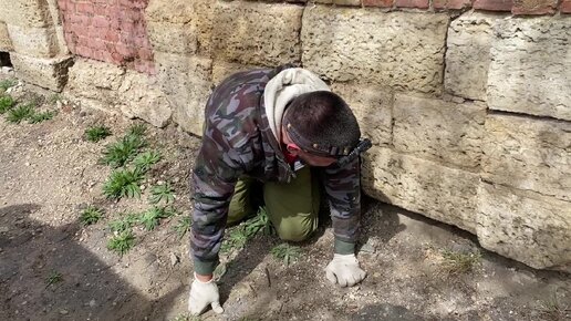 В поисках клада забрались в подвал старинного дома, обалдели от того, что там было