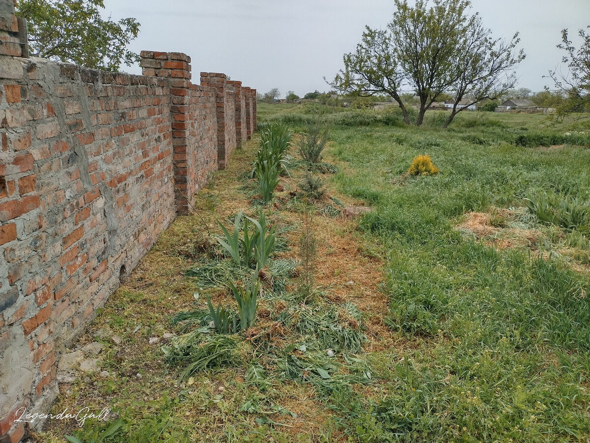 И вот такой она стала через каких-то 3-4 часа...