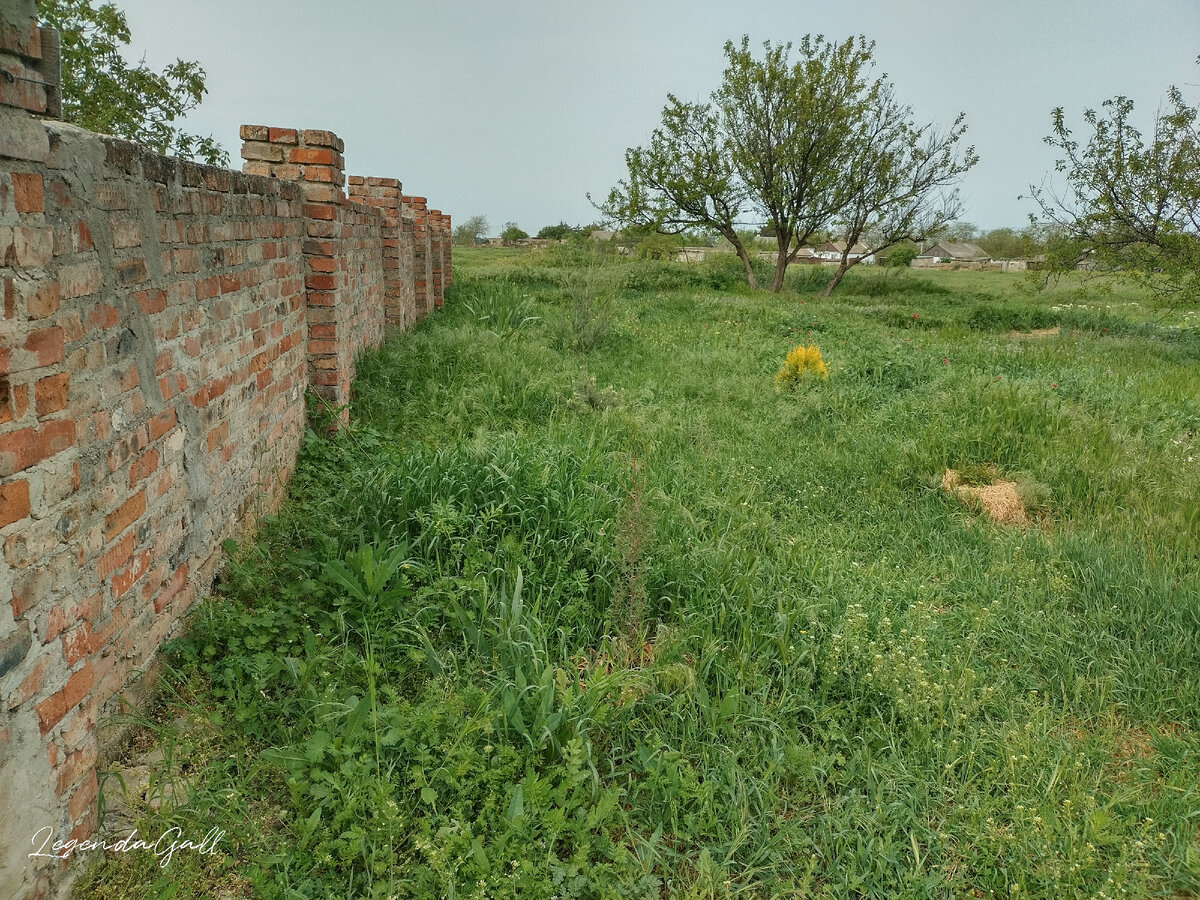 Вот такая лужайка симпатичная была
