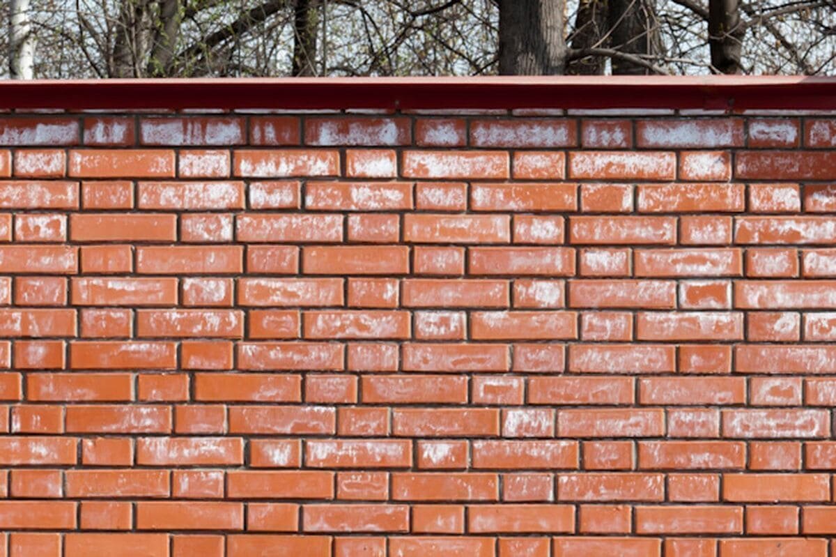 высолы на заборе