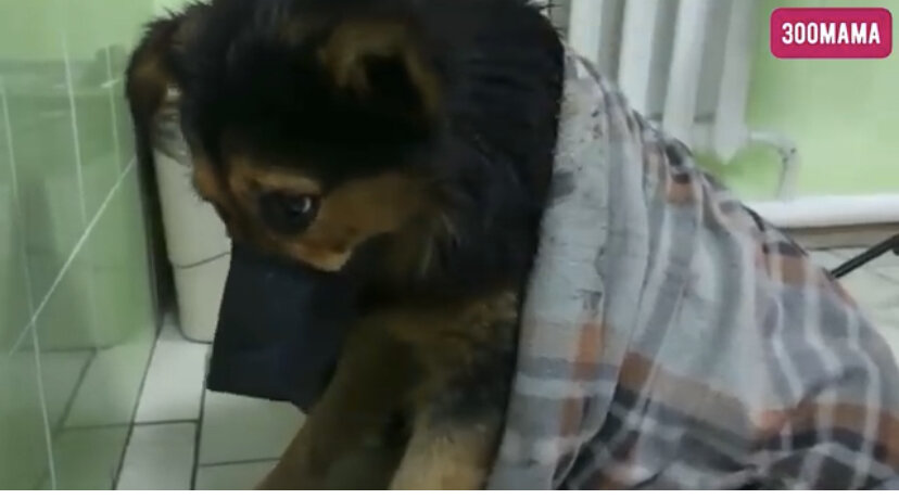 Ромка в день спасения 