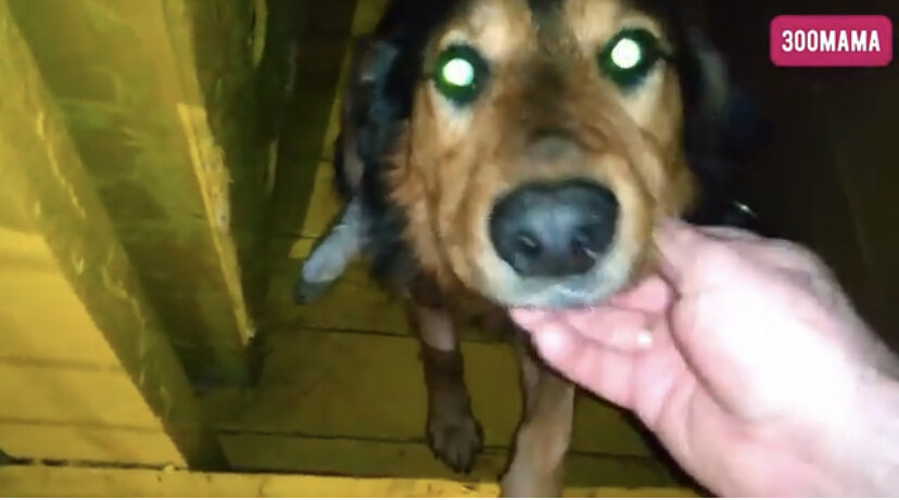 Тут еще болел 