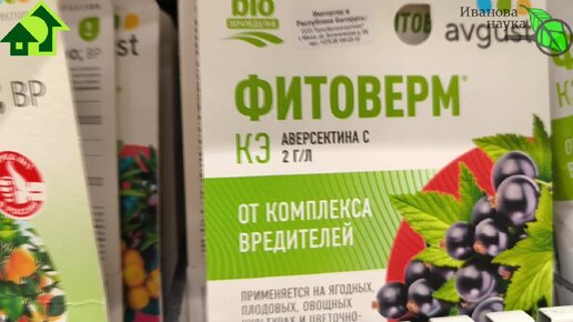 КЛЕЩ ЗАЕЛ И НИЧЕГО НЕ ПОМОГАЕТ? Что использовать вместо фитоверма? Безопасное и эффективное средство.