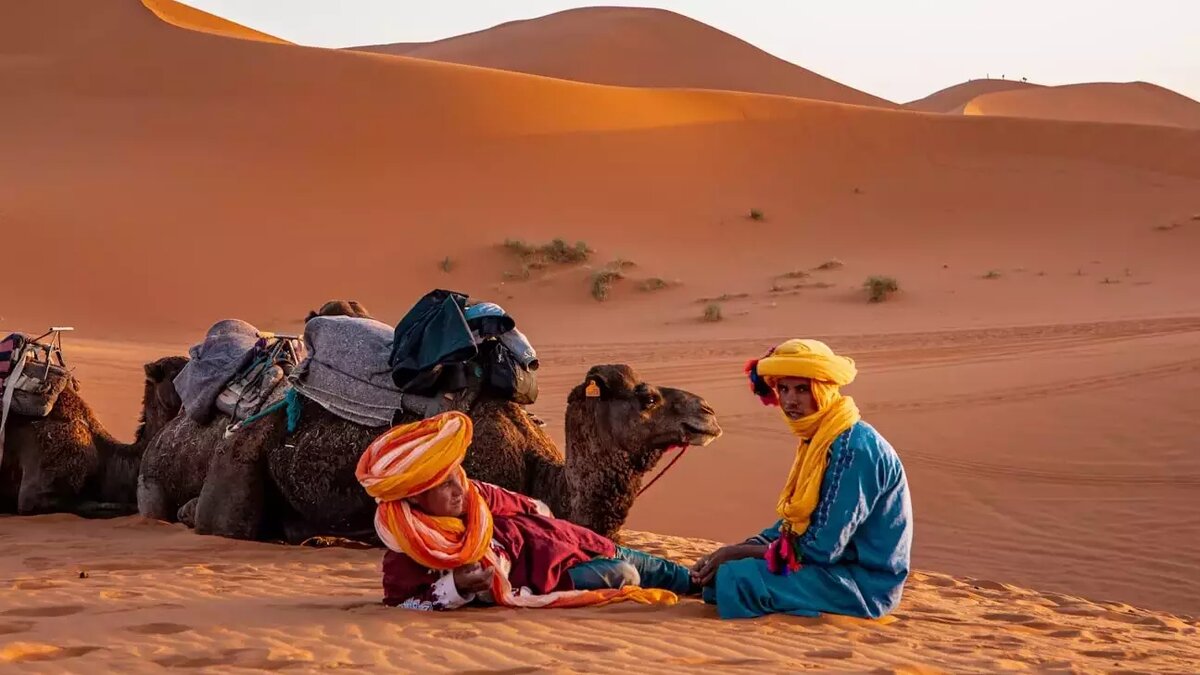     Автор: Unsplash