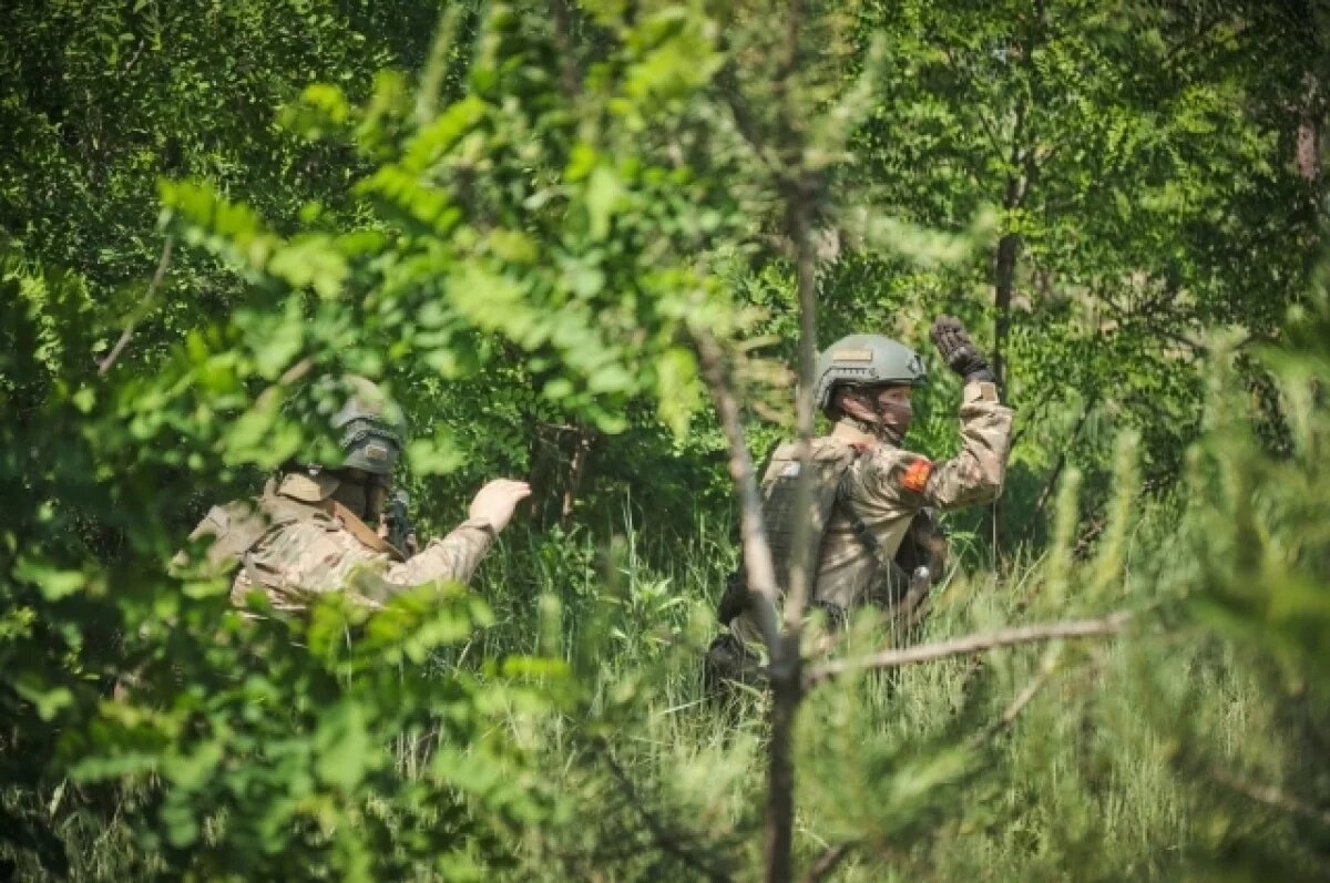    SZ: Украину ждет больше прорывов ВС РФ после провала ВСУ в Очеретино