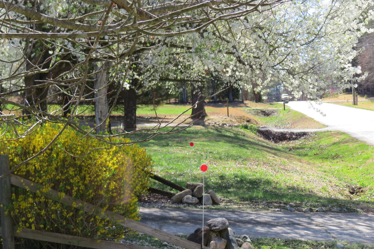 Возле нашего дома весной. Фото автора