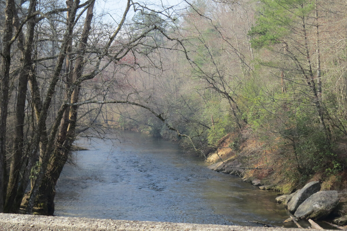 Южная Каролина в марте. Фото автора 