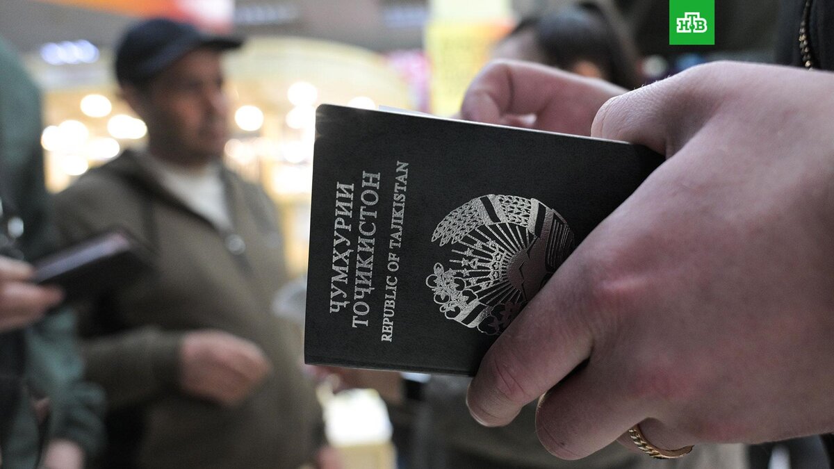    Фото: РИА Новости © 2024, Александр Кряжев