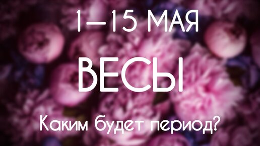 Весы ♎️ Каким будет период с 1 по 15 Мая 2024? Таро-прогноз