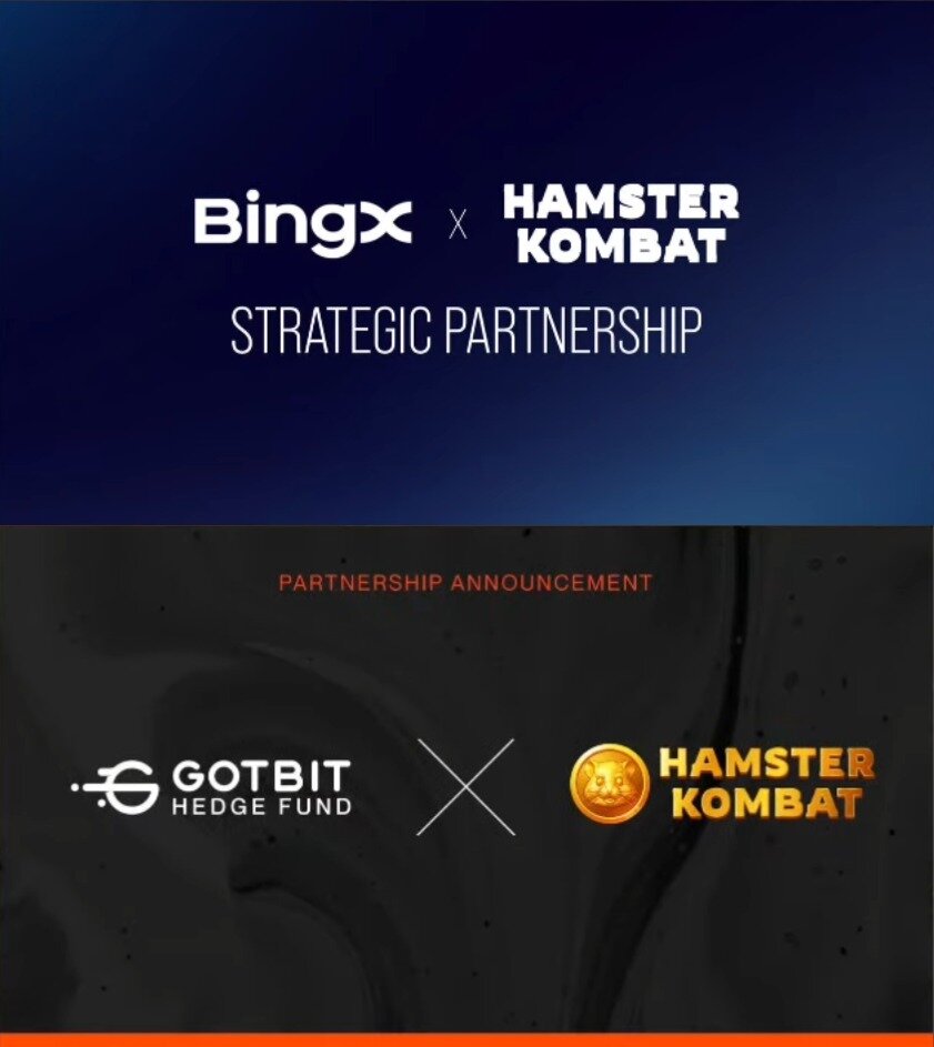 Дрессировщик хомяков. Колесо для хомяка. Hamster kombat стоит ли играть. Хомяк за компом. Сирийский хомячок.