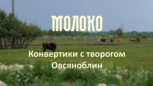 Конвертики с творогом. Овсяноблин | проект «Молоко»