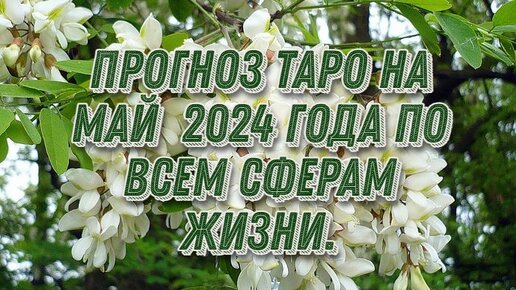 Прогноз Таро на май 2024 года по всем сферам жизни.