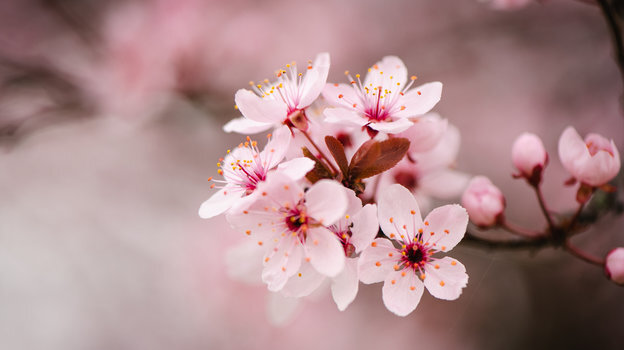    www.istockphoto.com/Kajdi Szabolcs