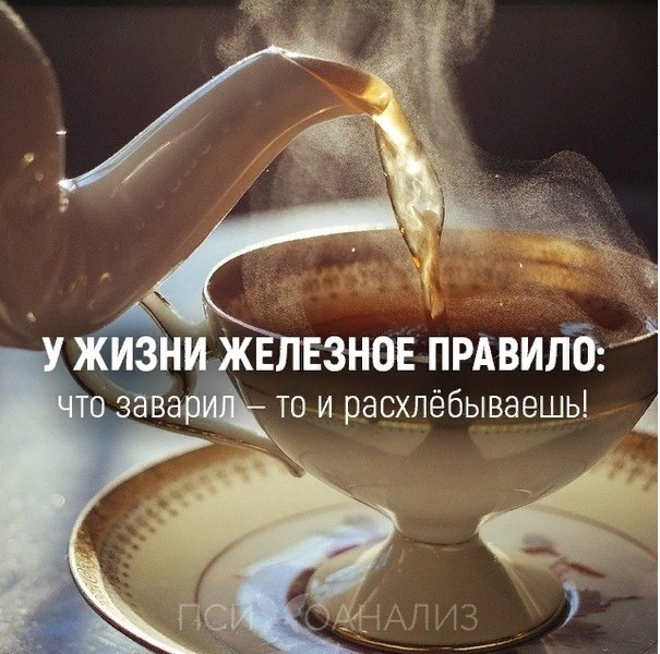 фото из интернета