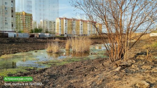 Ерик КАЗАЧИЙ после пожара.Астрахань 2024