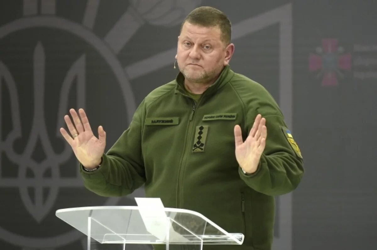    Политолог Баширов объяснил исчезновение бывшего главкома ВСУ Залужного
