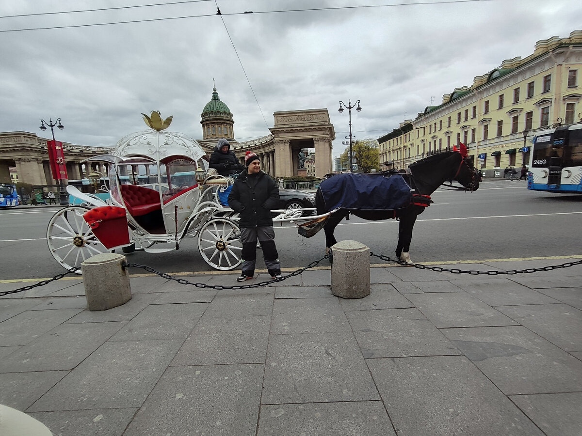 Особой королевской королевской крови себя почувствовать не желаете?