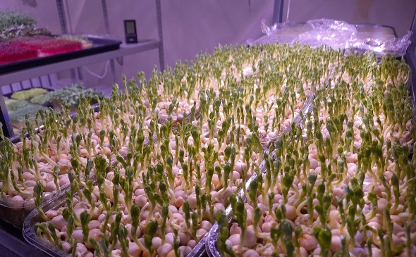 Фото: РБК Черноземье