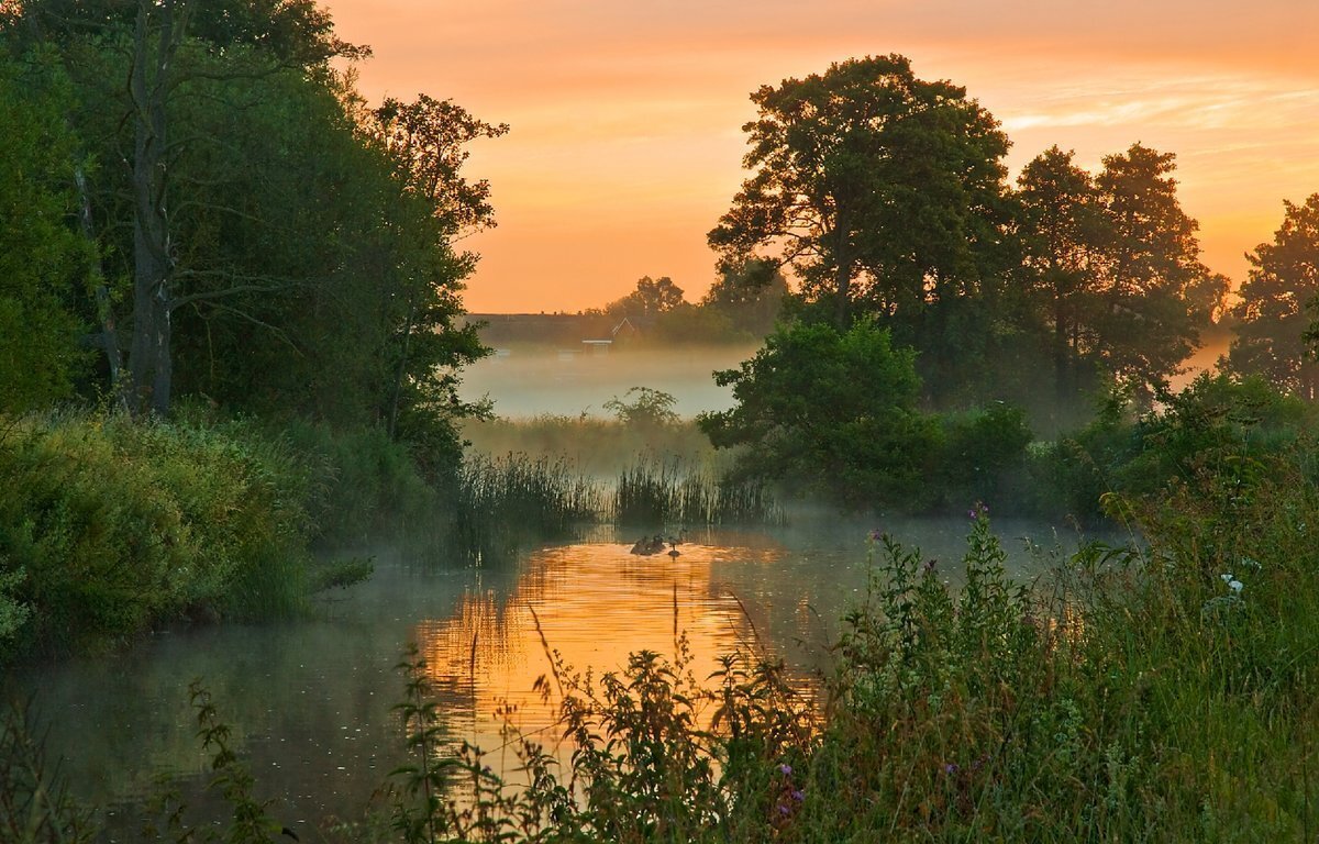 Из открытых источников