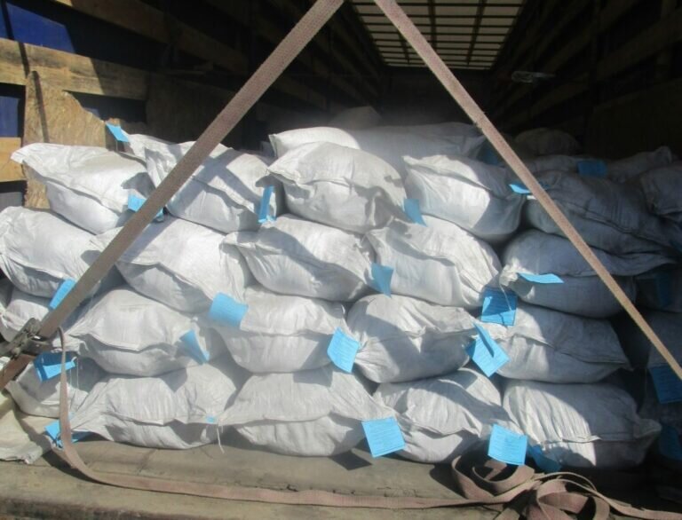    В Оренбуржье пытались завести 20 тонн семян люцерны пораженной вредным организмом Марина Шарт