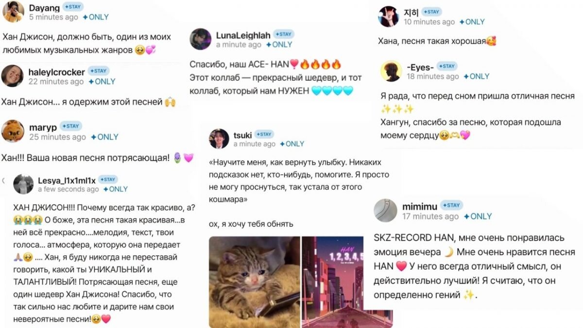    Посты STAY в приложении FANS