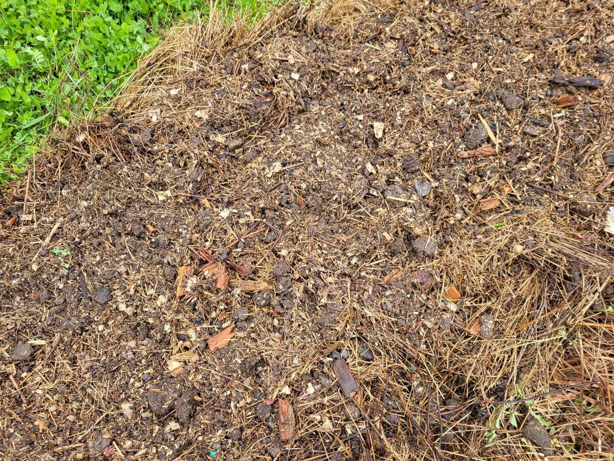 Мелко измельчённые стены. Мышки постарались. Пойдёт как связующее в тыкварий