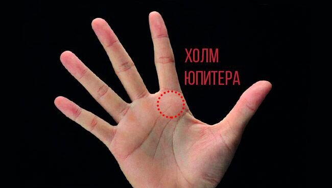 Фото:  hariola.com