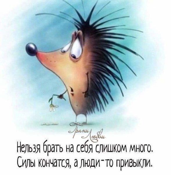 Добавьте описание