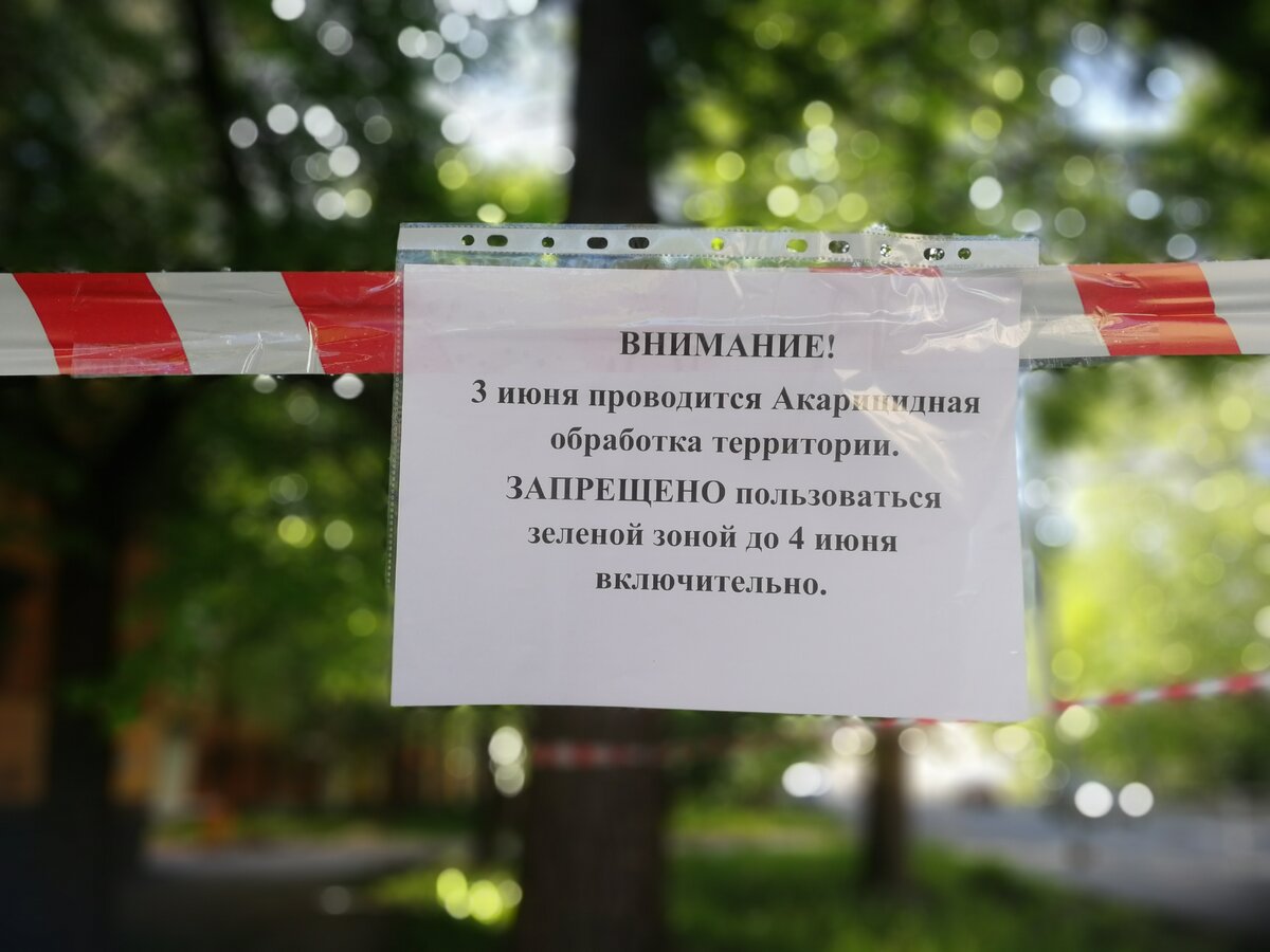    Как защитить себя от клещей в Карелии: привиться или застраховаться?