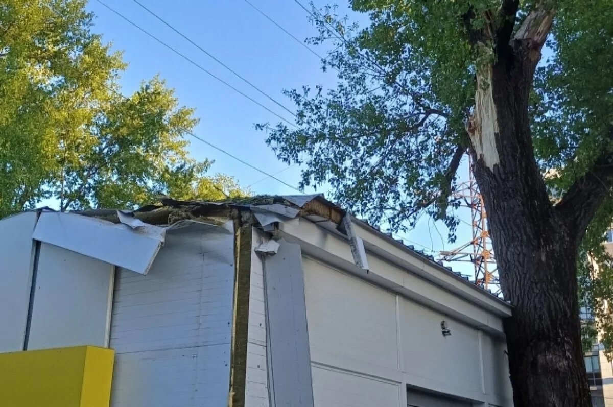    Ущерб от упавших деревьев в Воронеже превысил 8 млн рублей за два года