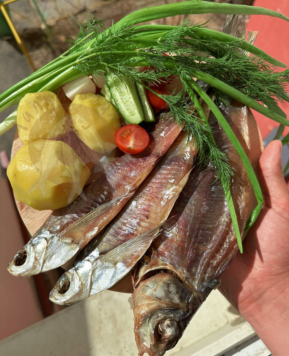 Ни для кого не секрет, что в правильно приготовленной вяленой рыбке содержится много полезных микроэлементов 🐟❤ 
🔱Чехонь - одна из таких видов рыбы. Помимо того, что чехонь из-за вкуса своего жирненького мяса является идеальной закуской, в ней также содержится молибден, хром, магний, кальций и фосфор 😍

✅Эти вещества благоприятно влияют на обмен веществ, улучшают процессы роста и укрепления костей и способствуют выведению из организма вредных кислот🌊

⚕Заботитесь о своём здоровье? Наши менеджеры с удовольствием подберут Вам наиболее диетическую и полезную рыбку, стоит только написать об этом 👇