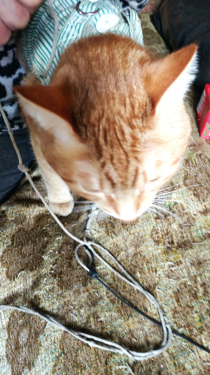 Личное  фото.