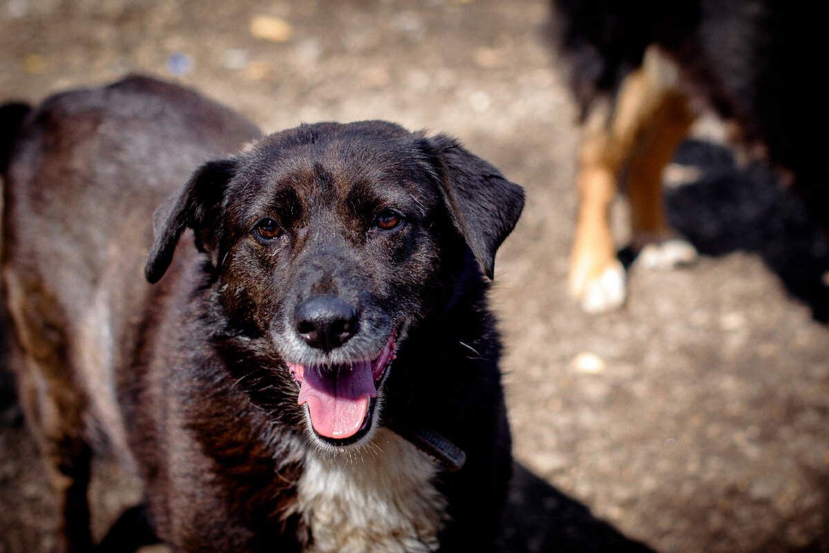 Если вы уже открыли статью про меня, значит у меня есть шанс, потому что такие как я обычно никому не нравятся