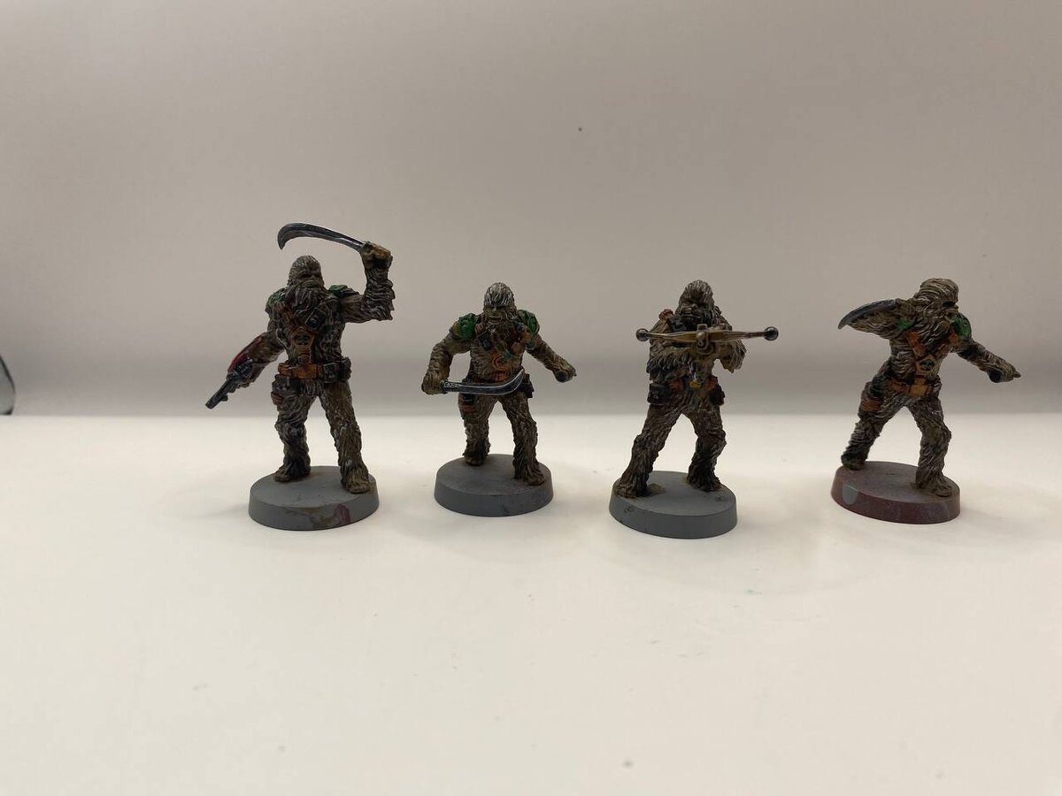 Уже покрашенный отряд лохмачей.