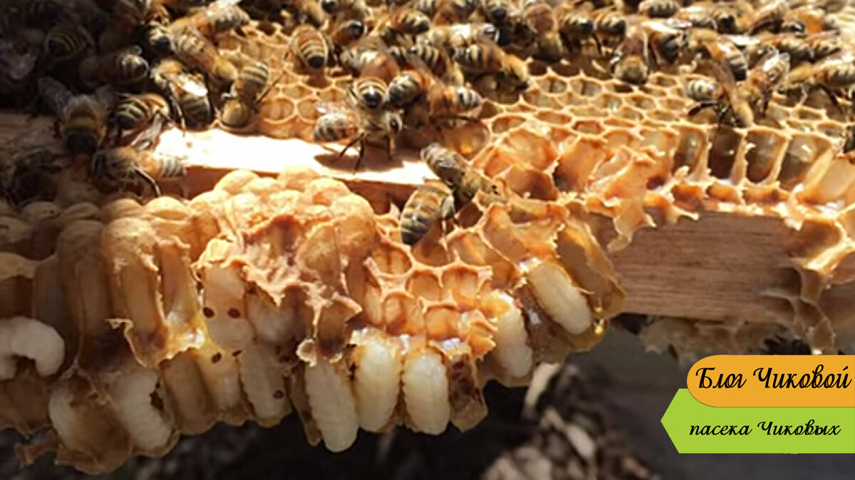 фото для примера