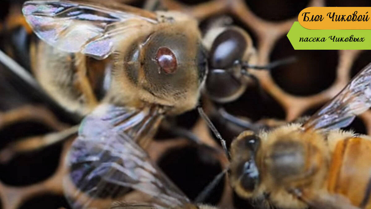 фото для примера