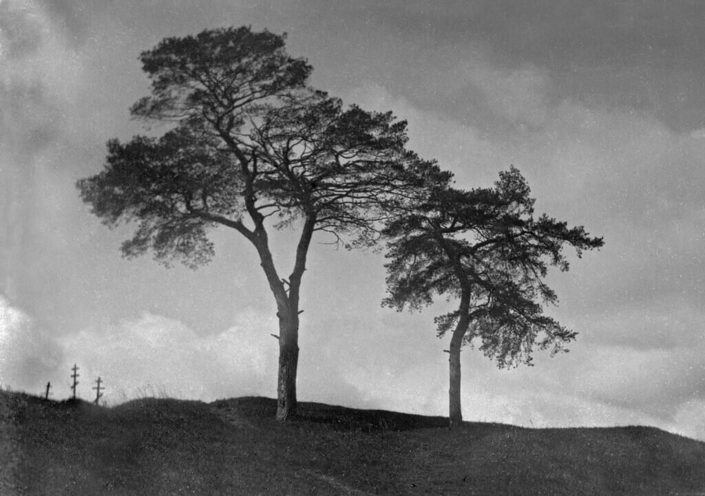 Сокровища короля Сигизмунда III были спрятаны на "погосте Николы Лапотного", найти который не могут уже 400 лет.