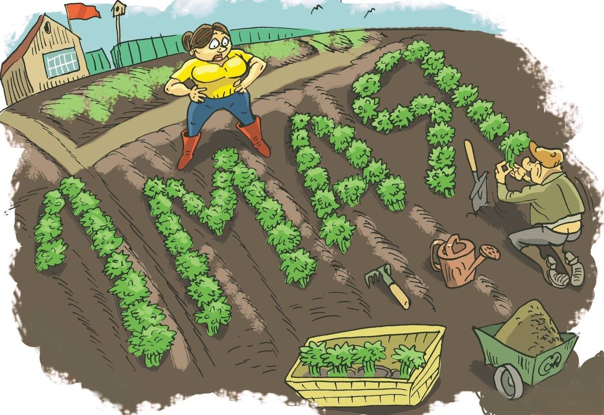 Картинка взята из открытого доступа в сети Интернет