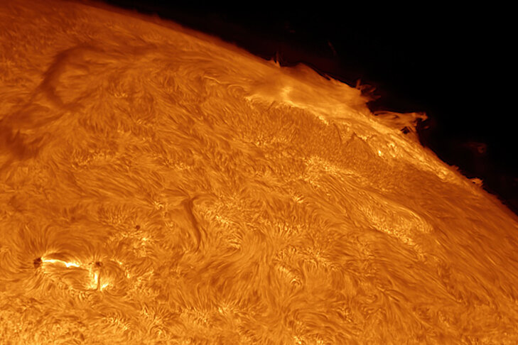    Фото со страницы Алексея Полякова во ВКонтакте.