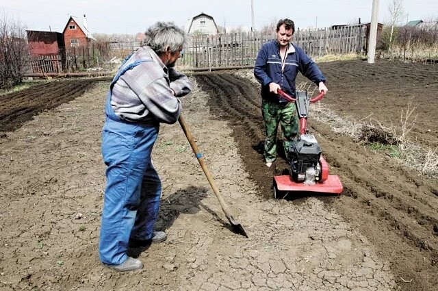    Чем лучше вскапывать целину на даче?