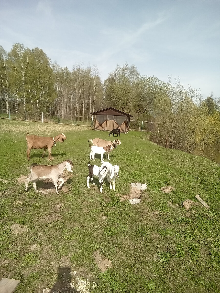 Фото автора. 