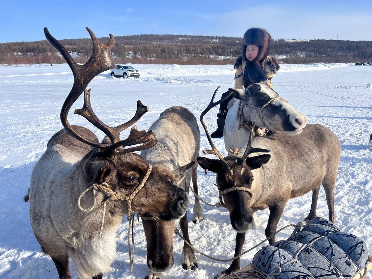 В Якутии бывает очень холодно и очень жарко.  Фото: Фото: ФедералПресс / Анна Крючкова