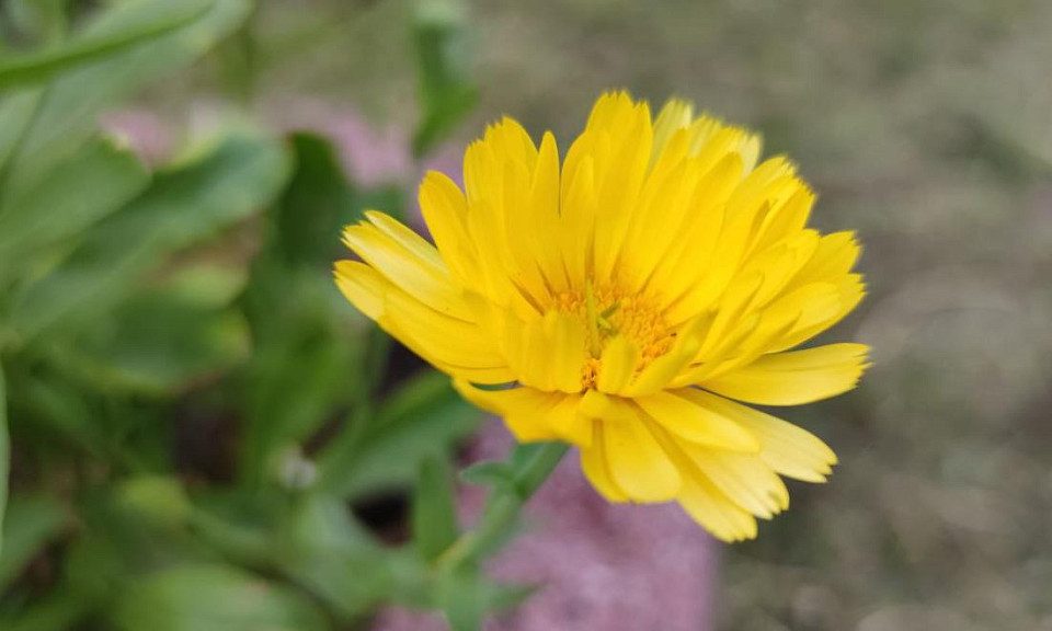 Фото: "Горсайт"