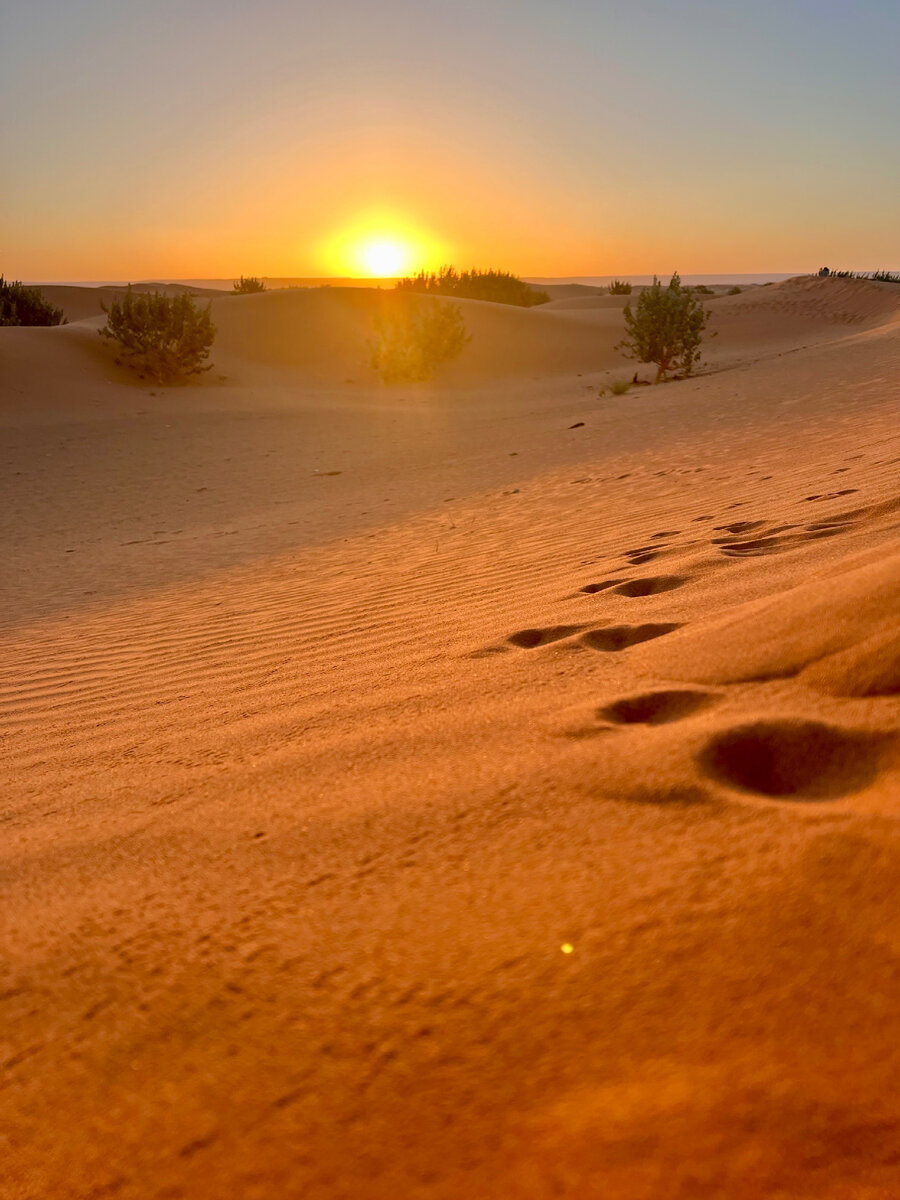 Пустыня в районе Мерзуги