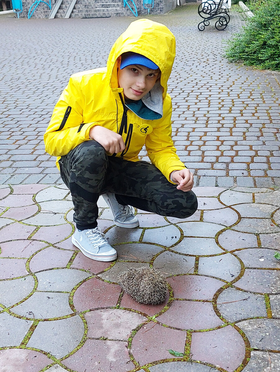 Ежик у входа в санаторий