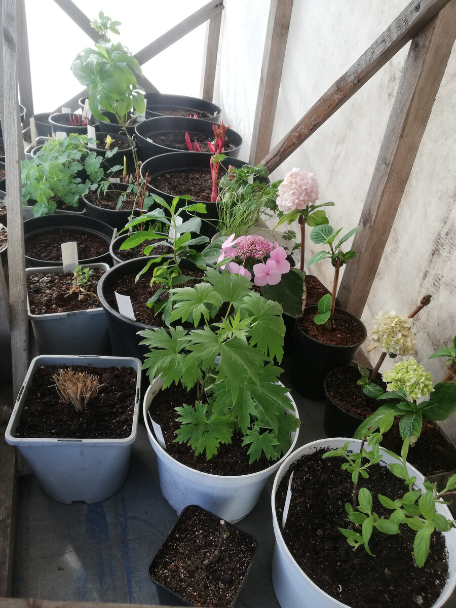 Часть нахапанного в феврале-марте на передержке