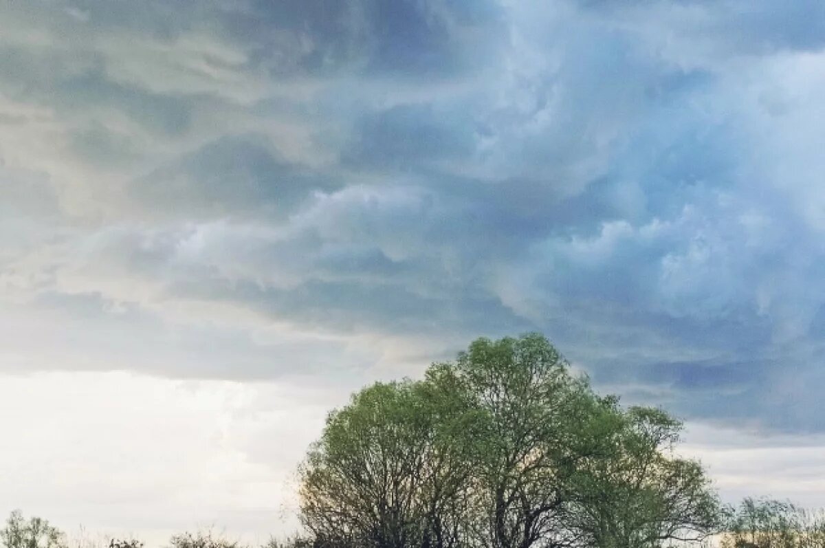    В Краснодарском крае 27 апреля воздух прогреется до 28 градусов